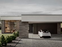 Dienine_001 web